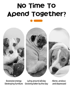 Zwart-wit foto's van verdrietige honden met gedragsproblemen door gebrek aan spel