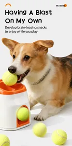 Chien Corgi jouant avec le lanceur automatique de balles de tennis et distributeur.