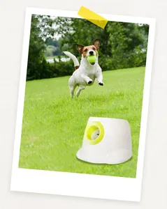 Lanceur de balles interactif automatique pour animaux domestiques avec un chien.
