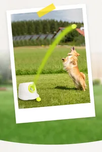 Vue détaillée du lanceur de balles automatique pour chiens tirant dans un parc.