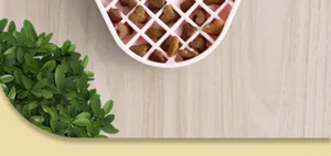 Détail du tapis de léchage en silicone rose pour animaux avec croquettes en forme de cœur