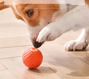 Gros plan d'un chien jouant avec une balle interactive orange sur un sol en bois clair