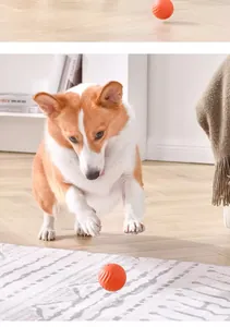 Un Corgi énergique sautant pour attraper une balle de gravité orange sur un tapis