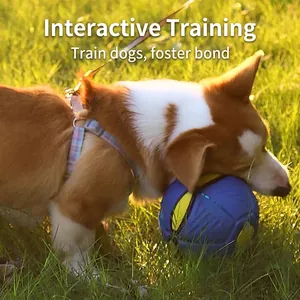 Balle de jeu interactive bleu et jaune pour chien UFO pour entraînement avec un Corgi