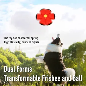 Jouet ballon disque volant interactif pour chiens en plein air, design convertible
