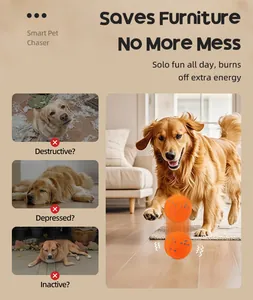 Slimme elektrische hondenbal in actie die actieve Golden Retriever energie laat verbranden
