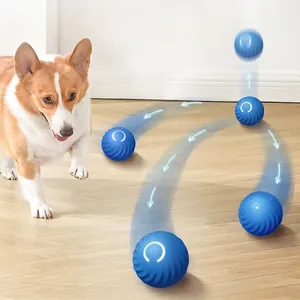 Jouet interactif balle sautante par gravité pour chiens et chats mouvement aléatoire