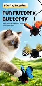 Γάτα Ragdoll που παίζει με πολύχρωμα λούτρινα πεταλούδας σε ένα ηλιόλουστο λιβάδι