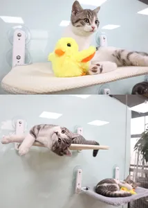 Starke Saugnapf-Katzenfenster-Hängematte mit getigerten Katzen und gelbem Plüschtier.