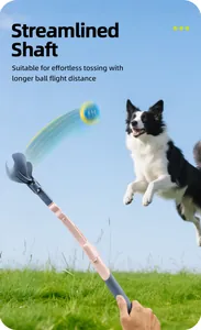 Actieschot van uitschuifbare hondenballenwerper tijdens buitenspelen met hond