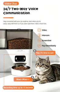 Automatischer Katzenfutterautomat mit Zwei-Wege-Voice-Chat und Kamera-Überwachungsdetail