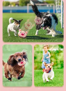 Detail shots of interactive vibrating pig plush dog toy in outdoor play scenes