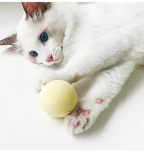 Makroansicht eines interaktiven Katzenballspielzeugs aus Plüsch mit Ton und weißer Katze