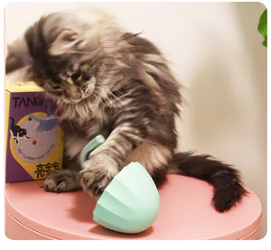 Electric tumbler laser cat toy with interactive 360-degree rotation for indoor cats
