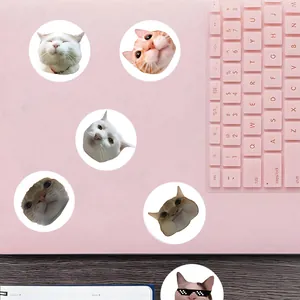 Close-up view of multiple round funny cat meme stickers applied on a pink laptop lid
