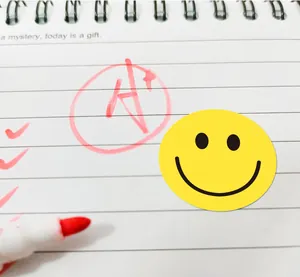 Macro detail of a yellow circular smiley face reward sticker on a notebook page with A plus grade