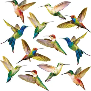 Vue détaillée de six autocollants de fenêtre anti-collision colibris colorés en vol