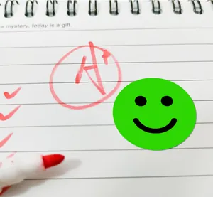 Close-up view of a green happy smiley face reward sticker applied on a notebook page
