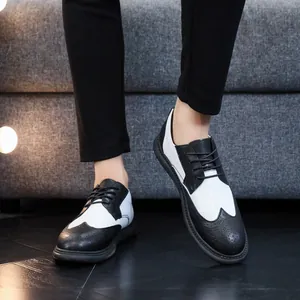 Close-up of stylish black and white wingtip brogue shoes for men in a modern setting