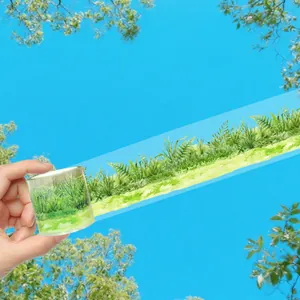 Dettaglio di nastro washi in PET con vivace design di prato ed erba ad acquerello
