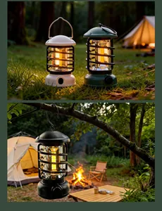 Portable retro LED camping lanterns hanging from tree and placed on grass at campsite