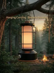 Lanterna da campeggio a LED retrò con dimmerazione continua appesa a un ramo d'albero
