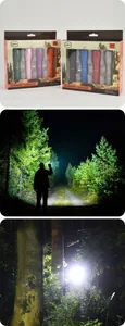Vista dettagliata di 4 torce LED in alluminio colorato con dimostrazione di illuminazione