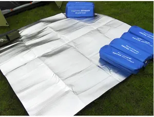 Tappetino da campeggio in alluminio argento bifacciale con borse blu da picnic