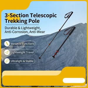Professionele 3K Koolstofvezel Wandelstok 3-Sectie Telescopische Hiking Stick Met Rood Metalen Extern Slot EVA Handgreep Wolfraamstaal Punt