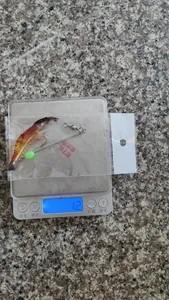 Gewichtsmessung eines leuchtenden PVC-Garnelen-Gummifisches zeigt 1,2 Gramm auf einer Waage.