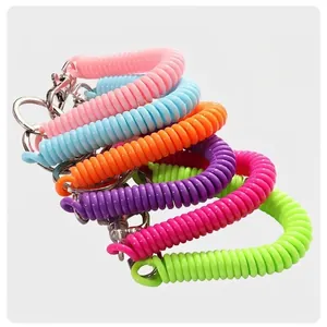 Ensemble de cordons à ressort colorés en plastique avec porte-clés en métal pour sacs