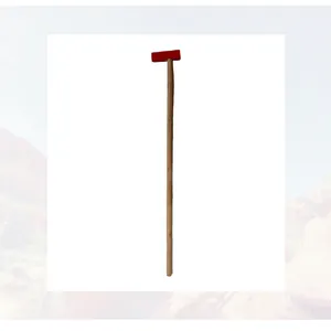 Macro view of the wooden walking stick featuring a red handle and long natural shaft.