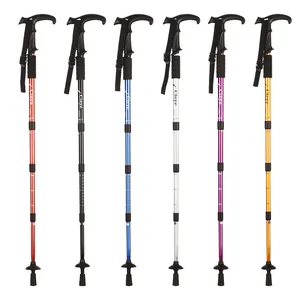 Set mit sechs verstellbaren T-Griff-Trekkingstöcken aus Aluminium in Metallic-Farben