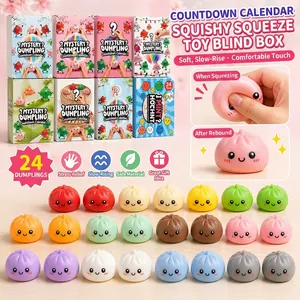 Mystery dumpling squishy toy set with 24 colorful fidget dumplings in blind box.