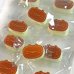 Cute cat cheese shaped squishy stress relief toy with slow rebound effect in packaging