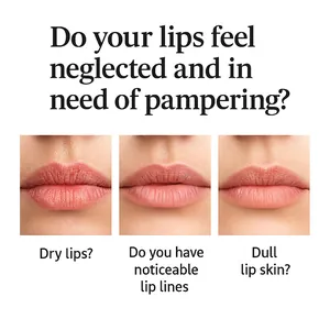 Detailed view showcasing three common lip issues: dryness, lip lines, and dullness.
