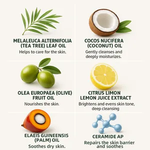 Detaillierte Inhaltsstoffe für Teebaumölseife mit Kokosnuss, Olive, Zitrone und Ceramid.