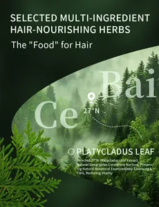 Detailansicht von Platycladus-Blattextrakt für pflanzliches nährendes Shampoo