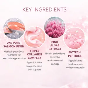 Key ingredients detail of PDRN pink collagen capsule cream showing salmon PDRN and peptides