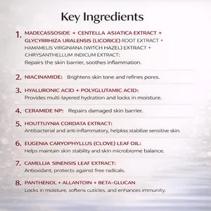 Detailed list of key ingredients for daily soothing cream and their benefits