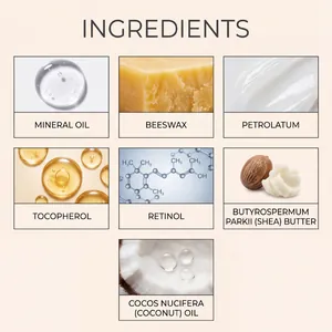 Detailed overview of skincare ingredients including Retinol, Shea Butter, and Coconut Oil