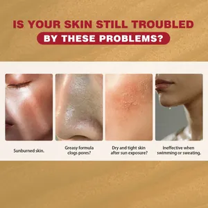 Infographic showing skin problems like sunburn and clogged pores for sunscreen detail.
