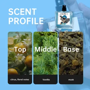 Cupi perfume scent profile detail showing top, middle, and base fragrance notes