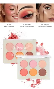 Palette de fard à joues et contouring professionnelle 6 couleurs avec détails maquillage