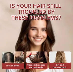 Graphic showing hair problems like breakage, split ends, and dryness for no-shampoo mask