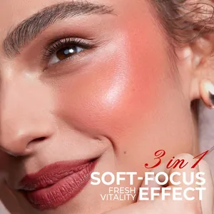 Detailed macro shot showing natural blush and lipstick with a professional soft-focus effect.