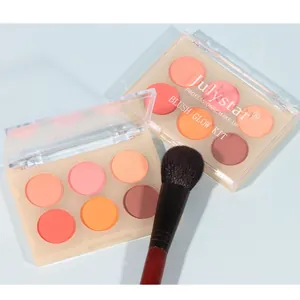 Palette de fard à joues mat professionnel 6 couleurs avec pinceau de maquillage doux