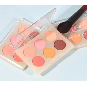Gros plan sur une palette de fards à joues mate 6 couleurs avec pinceau de maquillage