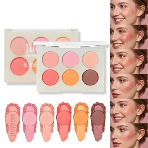 Palette de fards à joues mate professionnelle 6 couleurs avec des échantillons.