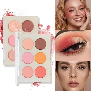 Palette professionnelle de 6 fards à joues et à paupières mats pour contour du visage
